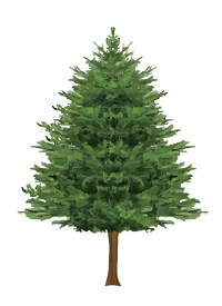 tree.png